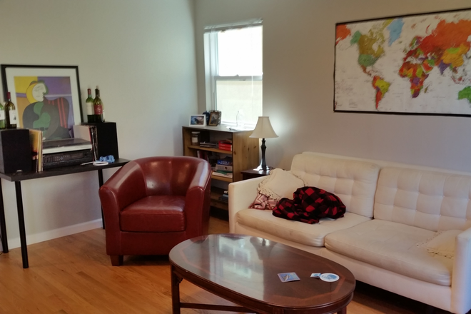 Living room - Beautiful Newly Renovated Large 3 BR North Berkeley,Walk 2 Campus/Bart