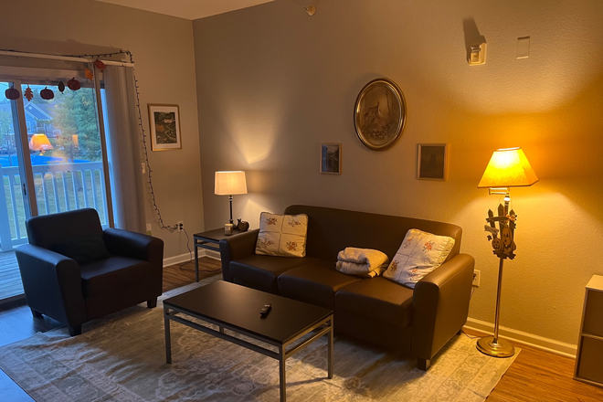 Living Room - Spacious Furnished Room for Rent in 3BR Apartment Near Campus – Move In Jan