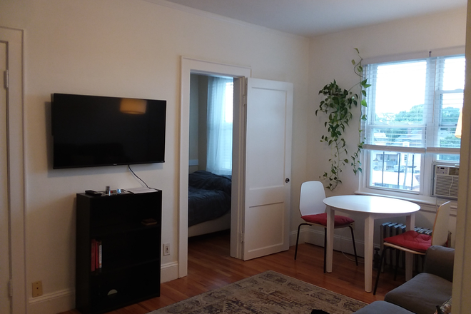 Living room - Top-floor One-bedroom Apt Near Davis Sq