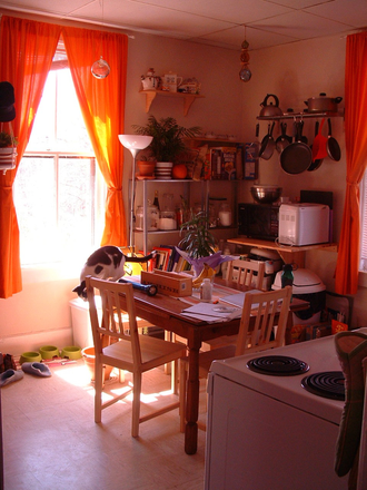 Kitchen.  Cat not included, but your indoor cat is welcome. - LARGE uNiQuE 1st floor Apartment in Old Farmhouse with Character on 10 acres! 4 Miles to Campus