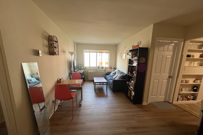 Living Room - Sunlit and Clean Room Available Close to Campus