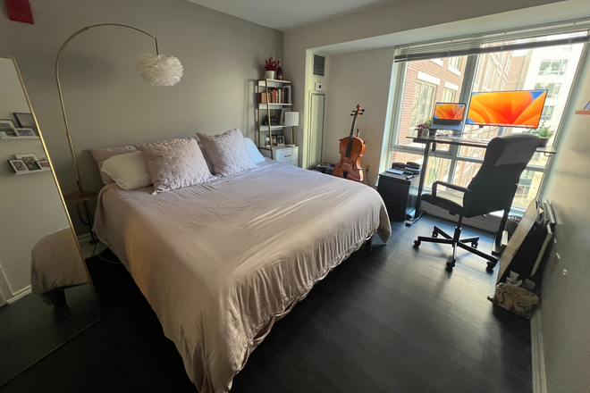 Bedroom with walk-through closet and private bathroom - Private room in 2BR/2BA, quick walk to medical/college campuses, green line (Furnished--optional!)