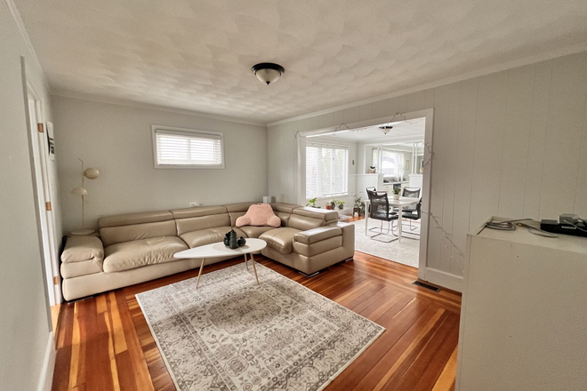 Living Room - Bright & Renovated Apartment 5-Minute Walk to Campus 15-Minute Walk to T