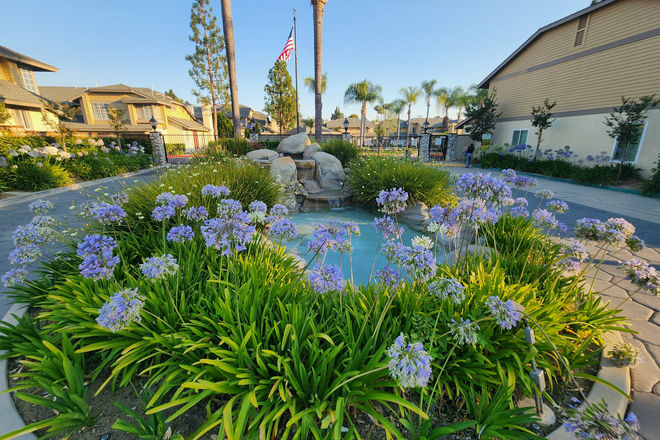 Gated Entry to small lovely 54 townhome community - Townhome very close to campus in gated community