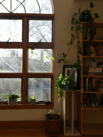 Living Room - Large room w/ ensuite in beautiful apartment, low rent, 10 min from Harvard!