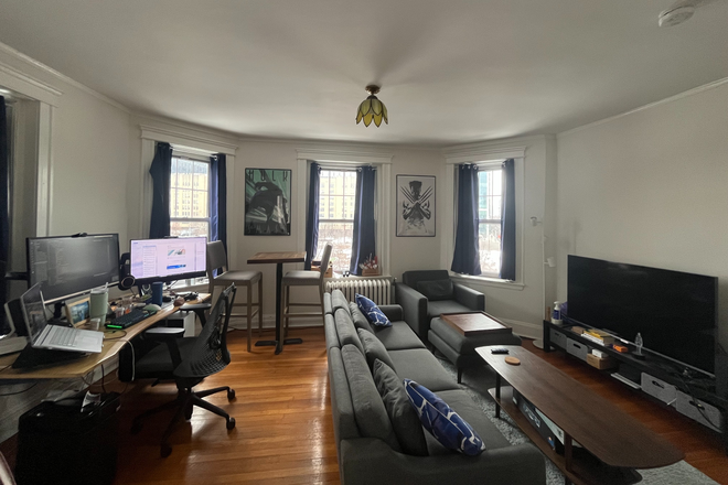 Living room with space for a desk and small table - 1bd 1ba Fenway/Longwood Summer Sublet, Option to Renew Apartments