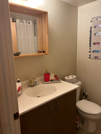 personal bathroom - The Ledges Apartments- Spring and or summer rental