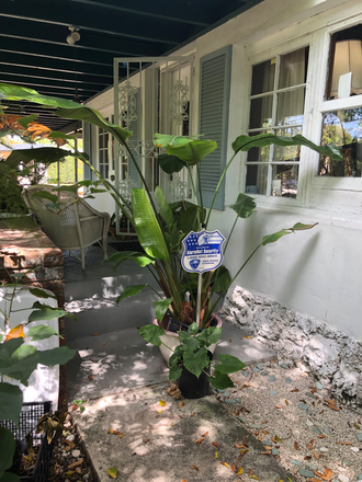 Front Of House - Peaceful Large Room $1350. Includes All Utilities- 2 month stay minimum! House