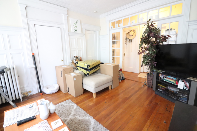 living room - Sunny Brighton 1 bed - heat/hot water included, NO FEE - for June 1st Apartments