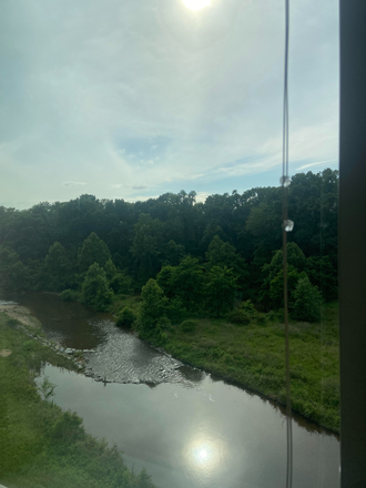 Window View of Paint Branch - ? Furnished 1BR w/ Private Bath in Luxury Tempo Apartment – Major Discount! ?