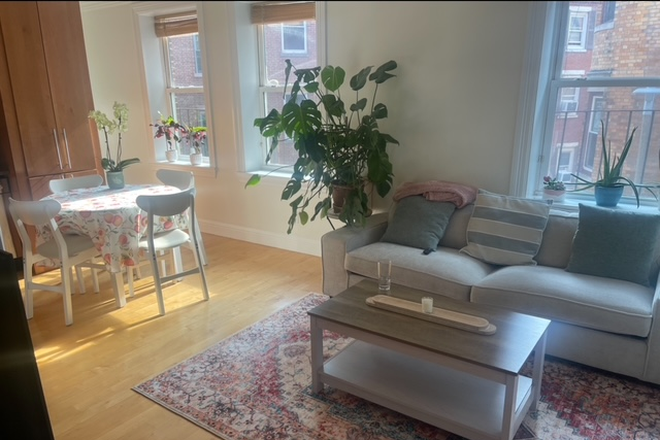 living room - No broker fee-- 2bd Apartment North End, Boston