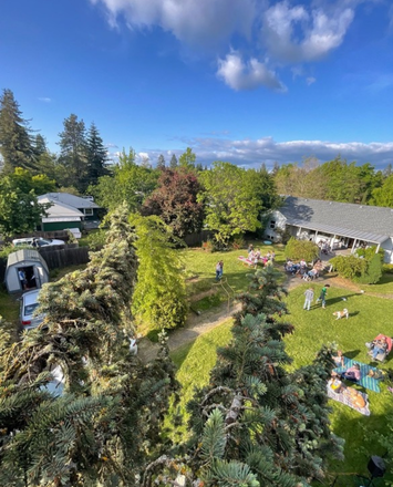 Backyard - Looking for 3 roommates!