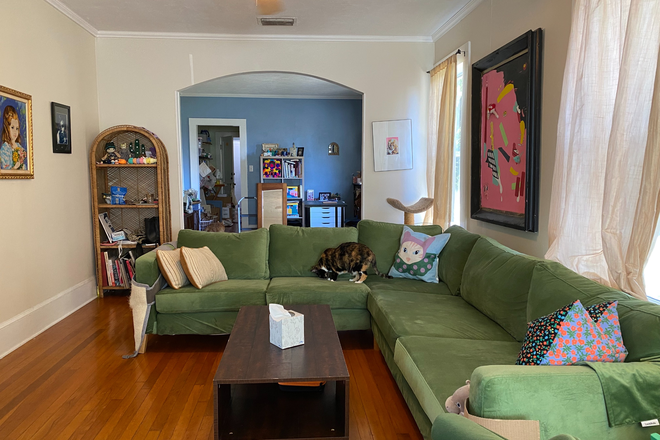 Living room. - Roommate Needed in a Cute Vintage House only .7 Miles from UF