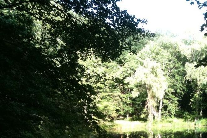 Photo - Little House