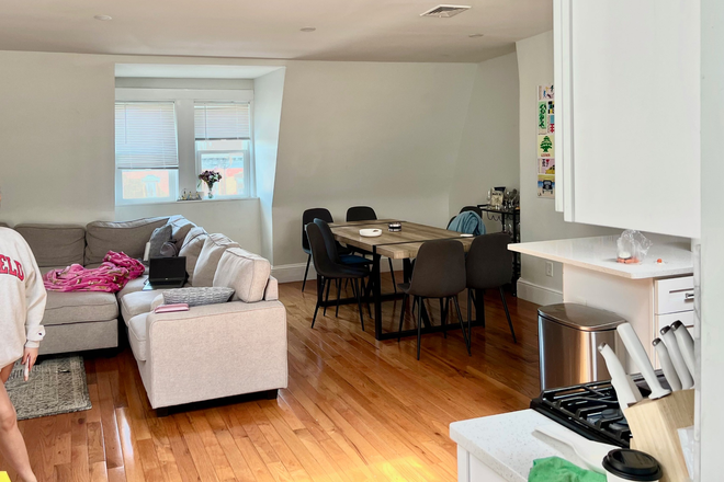 Living and Dining Area - Subletting One Bedroom on Mass Ave Apartments