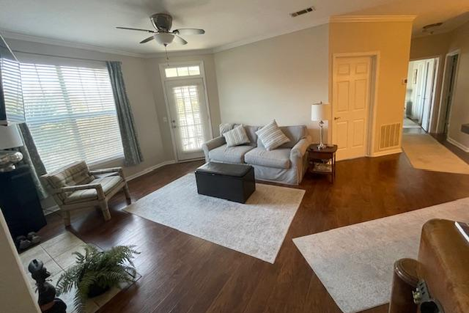 Living Room - Amazing location - 3 miles to MUSC West Ashley (Avondale) Concord West of the Ashley Condo