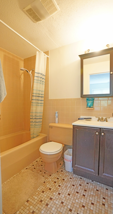Master Bath - Harvard Square Apartment -  Parking included