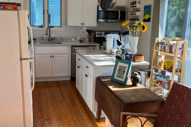 Fully renovated kitchen (share with roommate) - Walking distance to Davis Square, one roommate, beautiful apartment.