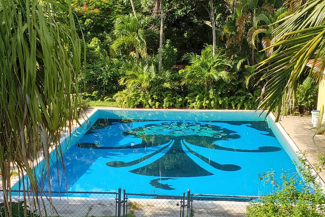Pool and Cabana - Charming ground floor furnished efficiency apartment in quiet neighborhood near UM. Private Entrance