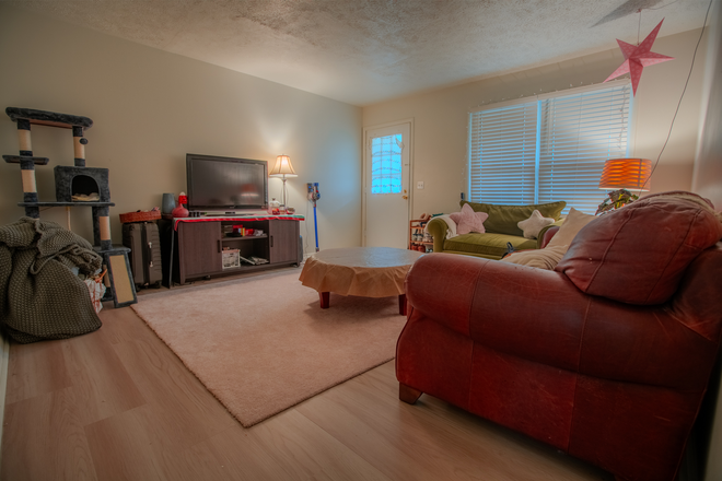 Living Room - 1524 Burcham Dr House