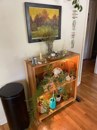 Dining Room - Room for Rent in Lovely South University Home