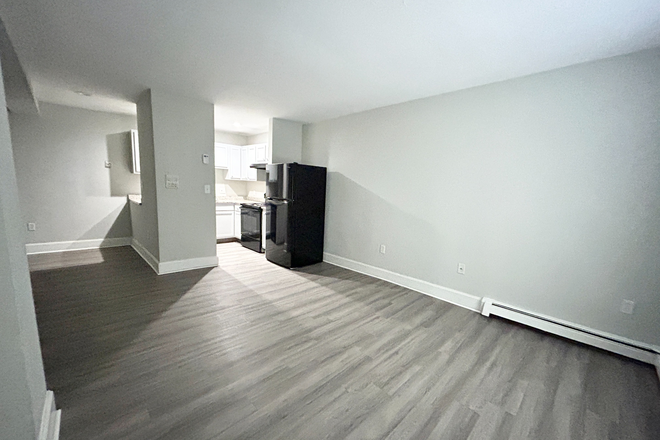 Living Room and Kitchen - Room Rental - 3 Bedroom Apartment Duplex on Ruggles St