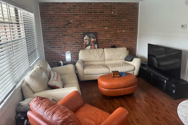 Living room - 1BR/1B, walk or bike to campus!