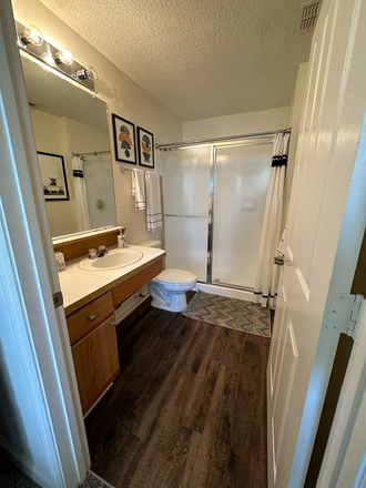 Personal bathroom - Sublease Hideaway Gainesville Apartments