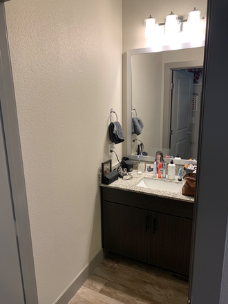 Bedroom: Bathroom Sink - Elara at the Sawmill Apartments