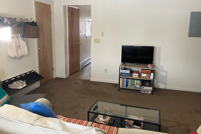 Living room - Furnished apartment with kitchen and living room in Amherst, flexible start/end dates