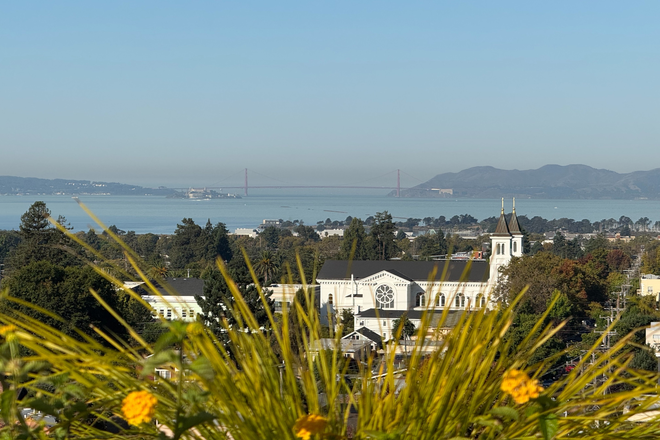 view from roof - Furnished 1BR Sublet – Bay Views, Sunny, Walk to Campus, Great location downtown, New BLDG, Rooftop
