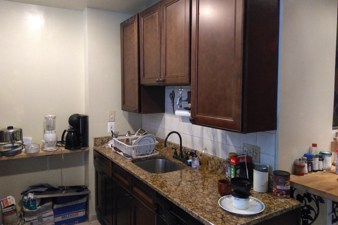 kitchen - Homeshare in Charles Village - Near Campus - 2 private bedrooms available