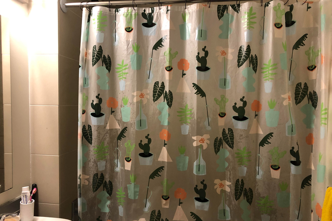 bathroom - quiet, light-filled studio in East Harlem, fully furnished Apartments