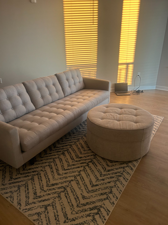 Living Room - Furnished Summer Sublet at Avalon Durham