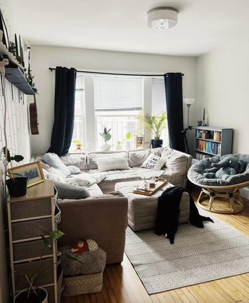 living room - Quiet Room in Shared Apartment
