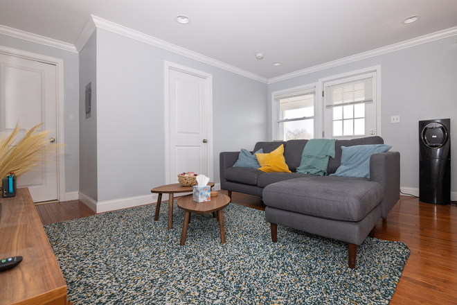 living room - Lovely three bedroom/Wayland Square neighborhood/East side Apartments
