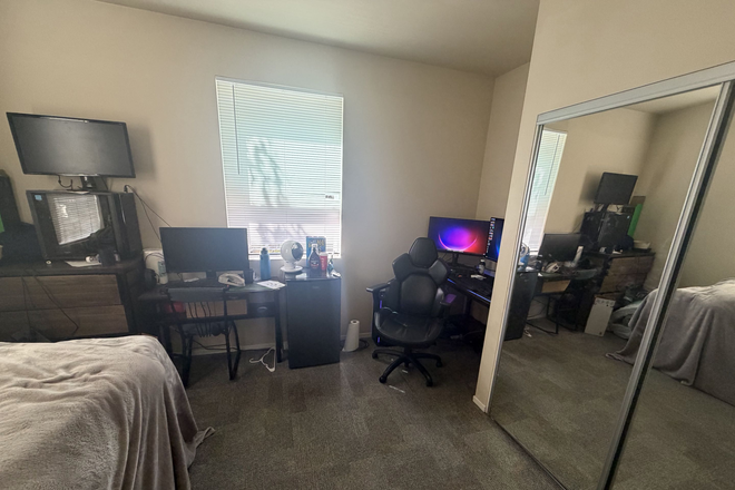 Room as lots of space, desks and a nice sized bed. - Camino Del Sol Sublet