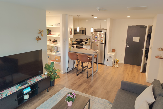 Living Room - Soldiers Field Park Summer Sublet - Fully Furnished 1B/1B apartment