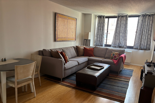 Living Area - Battery Park  Furnished 1 Bedroom Riverside Doorman convenient to most subways Condo