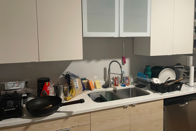 Kitchen - Looking for Roommate in Dorchester Apartments