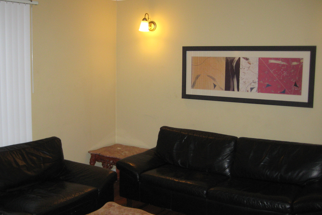 living room - Large Room 5 minutes away from Hofstra House