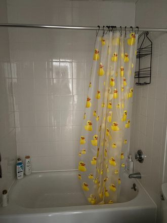 bath - Apartment close to campus