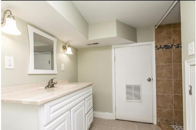 Basement bathroom - Cozy East Baltimore rowhome in a walkable location (and great backyard)