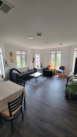 Living Area - Commons 2 Lease Transfer, 4 bed/2 bath corner unit