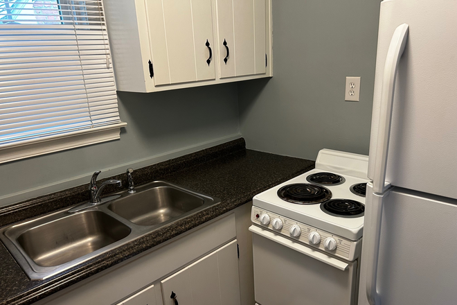 Kitchen - 1 Bedroom Apartment in safe neighborhood just a few miles from campus