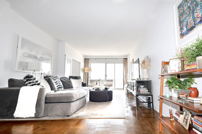 Living Room - Luxury Co-op Rental in Georgetown Plaza In the Center of Campus - AMAZING VIEWS Condo