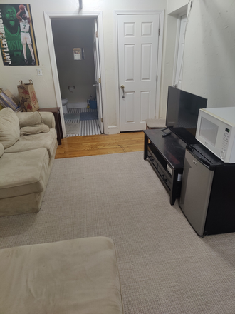 Living room - 1 Room in Fenway Apartment, close to campus, Summer sublease