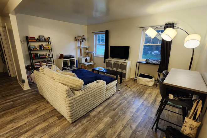 Living Room - 2bed/1bath Apartment for January Lease Takeover