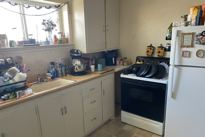 Kitchen - 1 bed Private apartment, 5 min walk to campus
