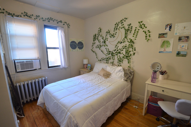 . - Affordable and Cute 3bed on Fenway Apartments